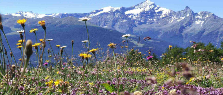 La Valle d’Aosta  i suoi castelli